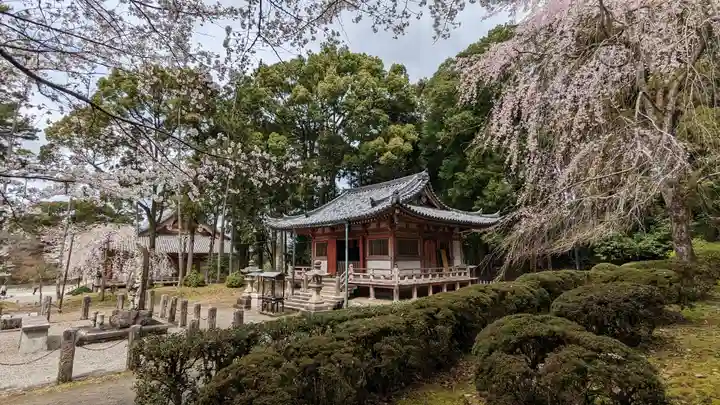 醍醐寺(京都府)