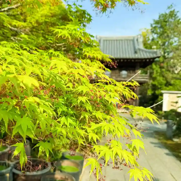 伊勢の国 四天王寺(三重県)