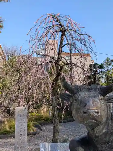 布多天神社(東京都)