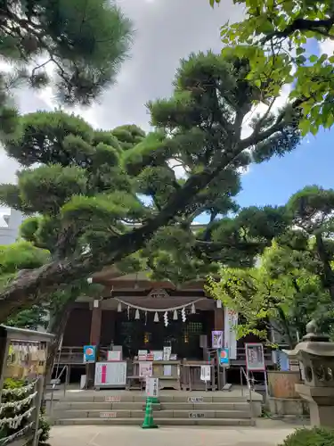 鳩森八幡神社の本殿・本堂