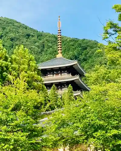 清大寺(越前大仏)のその他建物