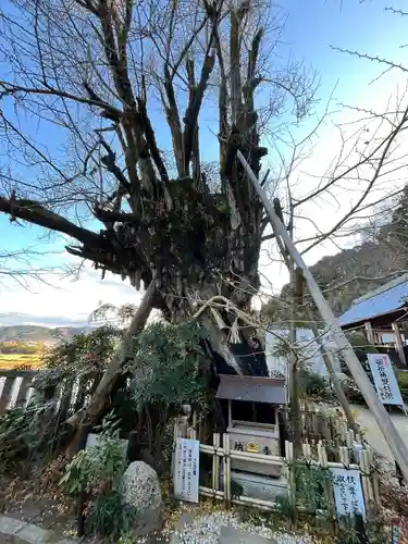 葛城一言主神社(奈良県)