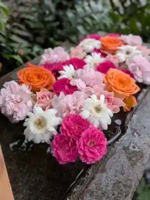 本郷氷川神社(東京都)