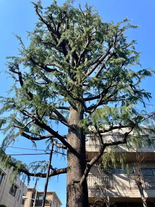 仙寿院の{uncategorized: "未分類", other: "その他", undefined: "問題あり", building: "その他建物", grave: "お墓", sacred_gate: "鳥居", guardian: "狛犬", statue: "像", buddha: "仏像", history: "歴史", nature: "自然", garden: "庭園", animal: "動物", pagoda: "塔", temizu: "手水舎", mountain_gate: "山門・神門", sanctuary: "本殿・本堂", subordinate: "末社・摂社", art: "芸術", scenery: "景色", jizo: "地蔵", ema: "絵馬", goshuin: "御朱印", omikuji: "おみくじ", items: "授与品その他", amulet: "お守り", goshuincho: "御朱印帳", eats: "食事", festival: "お祭り", votive_dance: "神楽", shichigosan: "七五三参", wedding: "結婚式", experience: "体験その他", initially: "初詣", around: "周辺", anti_infection: "感染症対策"}