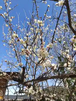 金熊寺(大阪府)
