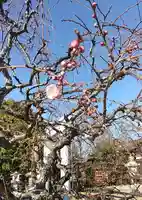 比佐豆知神社(三重県)