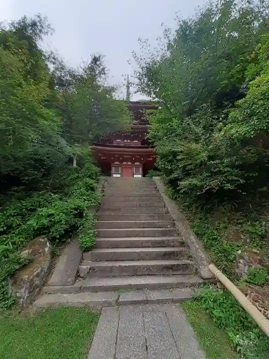 浄瑠璃寺(京都府)