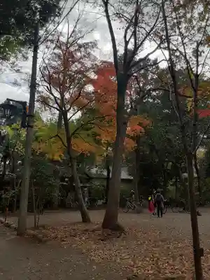 深大寺(東京都)