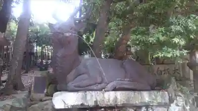 春日大社の狛犬