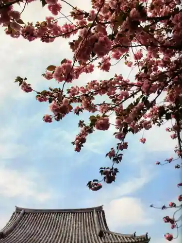 荘厳寺(東京都)