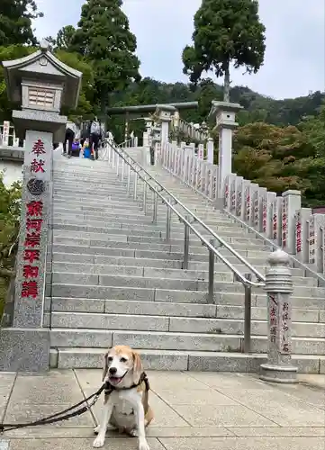 大山阿夫利神社(神奈川県)