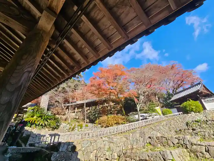 長谷寺(奈良県)