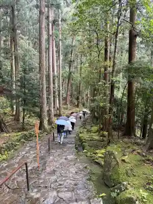 飛瀧神社（熊野那智大社別宮）の{uncategorized: "未分類", other: "その他", undefined: "問題あり", building: "その他建物", grave: "お墓", sacred_gate: "鳥居", guardian: "狛犬", statue: "像", buddha: "仏像", history: "歴史", nature: "自然", garden: "庭園", animal: "動物", pagoda: "塔", temizu: "手水舎", mountain_gate: "山門・神門", sanctuary: "本殿・本堂", subordinate: "末社・摂社", art: "芸術", scenery: "景色", jizo: "地蔵", ema: "絵馬", goshuin: "御朱印", omikuji: "おみくじ", items: "授与品その他", amulet: "お守り", goshuincho: "御朱印帳", eats: "食事", festival: "お祭り", votive_dance: "神楽", shichigosan: "七五三参", wedding: "結婚式", experience: "体験その他", initially: "初詣", around: "周辺", anti_infection: "感染症対策"}