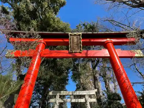 馬橋稲荷神社の鳥居