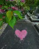 普賢寺のその他建物