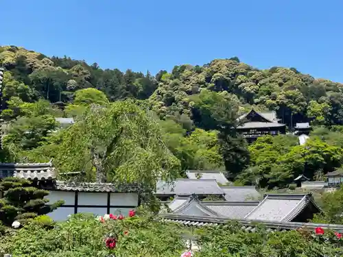 長谷寺(奈良県)