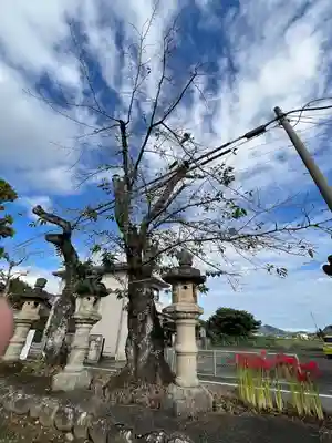 加佐美神社(岐阜県)