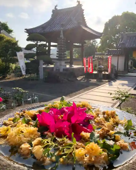 真言宗 善通寺派 薬王寺(香川県)