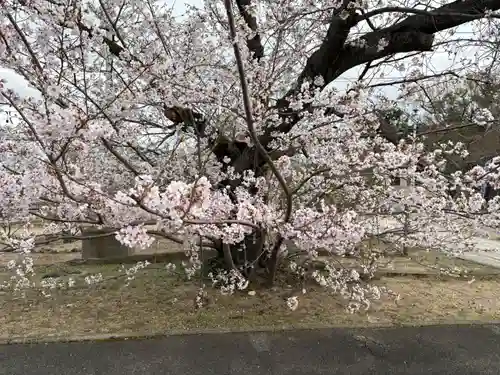 兵庫縣神戸護國神社(兵庫県)