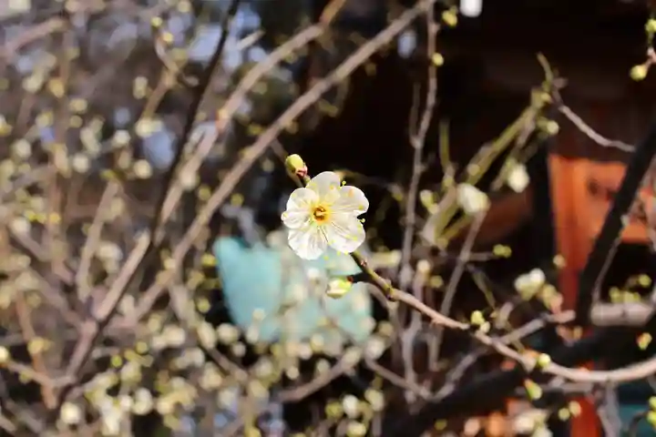 三津厳島神社(愛媛県)