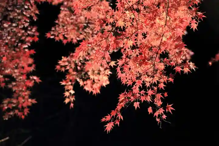 田村神社の景色