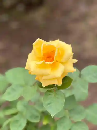 霊山寺(奈良県)