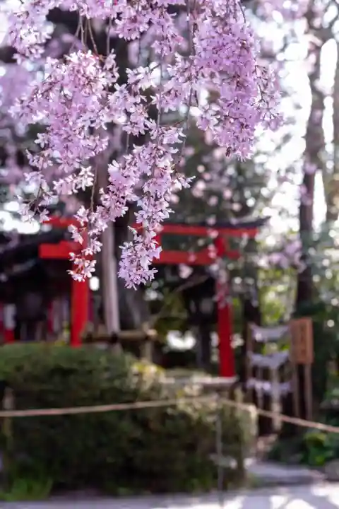 水火天満宮(京都府)