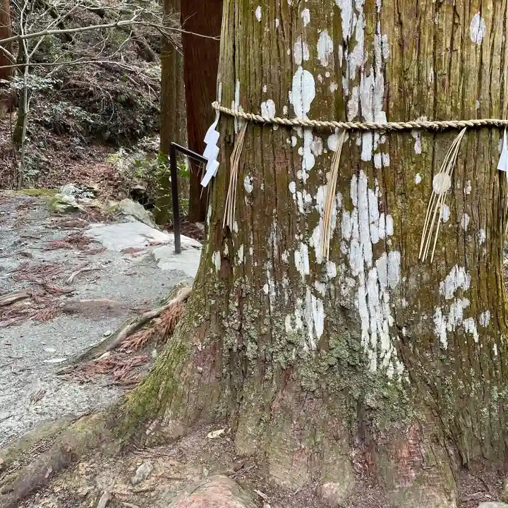 伊野天照皇大神宮(福岡県)