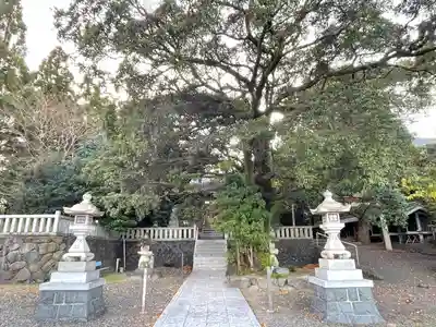 津島神社(岐阜県)