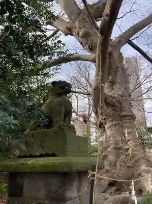 愛宕神社(福島県)