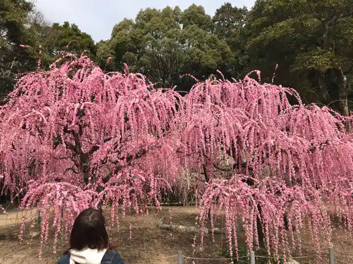結城神社(三重県)