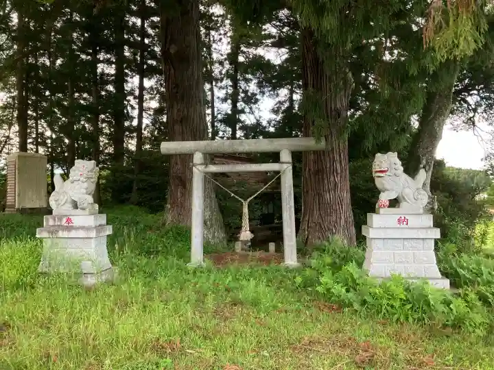 土屋箒根神社の鳥居
