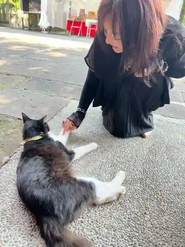 別所琴平神社(熊本県)
