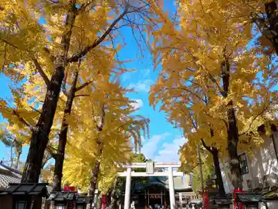石切劔箭神社(大阪府)