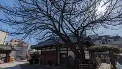 感通寺(東京都)