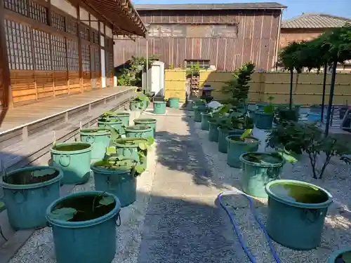 長徳寺のその他建物