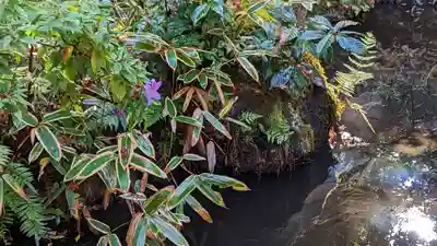 来迎院(京都府)
