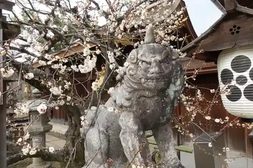 北野天満宮の狛犬