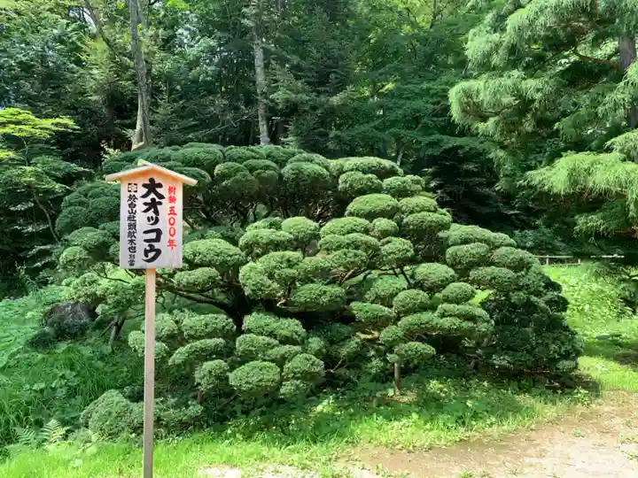 達谷西光寺の庭園