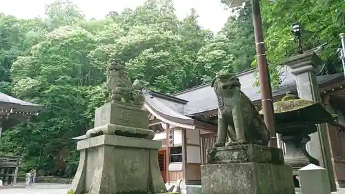 戸隠神社中社の狛犬