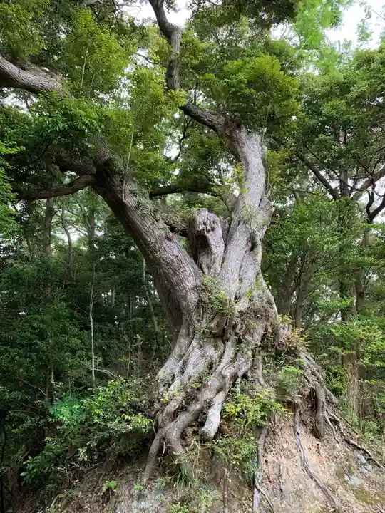 三宝荒神の自然