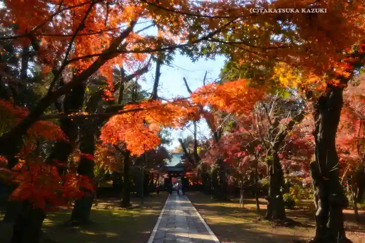東漸寺(千葉県)