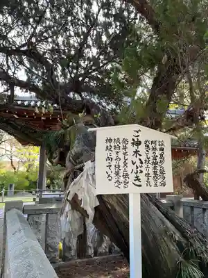 高砂神社(兵庫県)