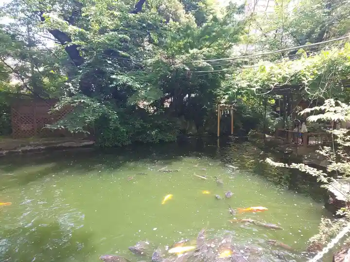 愛宕神社の動物