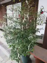 梛神社・隼神社の建物その他