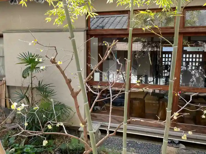 遠照山 光明寺(尼崎大仏)(兵庫県)