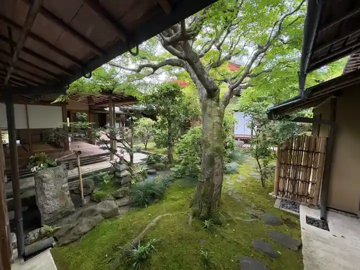 興臨院の{uncategorized: "未分類", other: "その他", undefined: "問題あり", building: "その他建物", grave: "お墓", sacred_gate: "鳥居", guardian: "狛犬", statue: "像", buddha: "仏像", history: "歴史", nature: "自然", garden: "庭園", animal: "動物", pagoda: "塔", temizu: "手水舎", mountain_gate: "山門・神門", sanctuary: "本殿・本堂", subordinate: "末社・摂社", art: "芸術", scenery: "景色", jizo: "地蔵", ema: "絵馬", goshuin: "御朱印", omikuji: "おみくじ", items: "授与品その他", amulet: "お守り", goshuincho: "御朱印帳", eats: "食事", festival: "お祭り", votive_dance: "神楽", shichigosan: "七五三参", wedding: "結婚式", experience: "体験その他", initially: "初詣", around: "周辺", anti_infection: "感染症対策"}