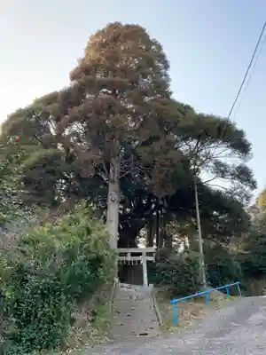 八幡神社の鳥居