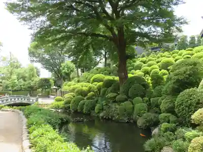 根津神社(東京都)
