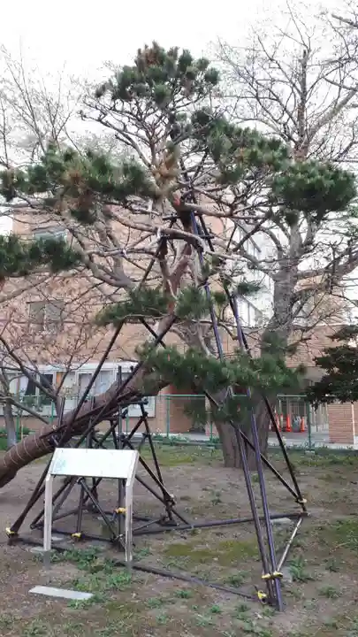 江南神社(北海道)